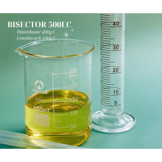 BISECTOR 500EC